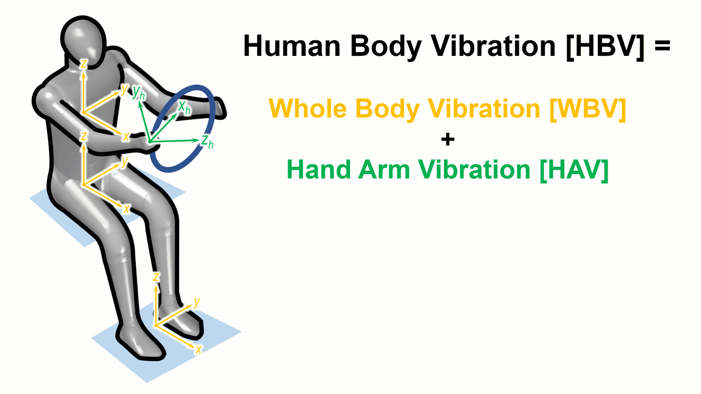 Human Body Vibration