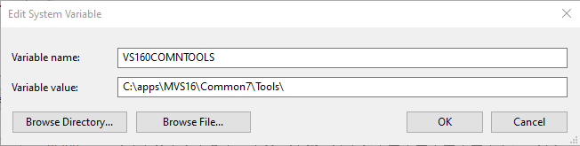 Definition of the environment variable VS160COMNTOOLS for Microsoft Visual C++ 2019 compiler